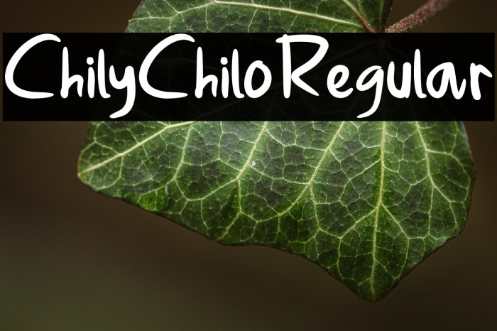 ChilyChiloRegular Example 2