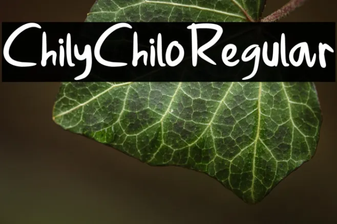 ChilyChiloRegular Example 2