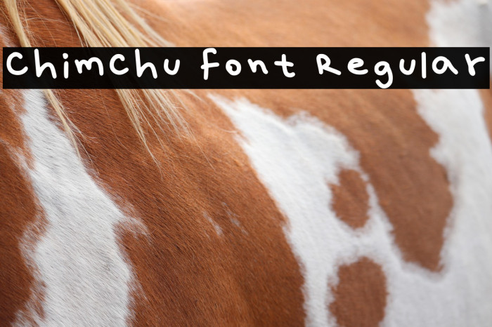 Chimchu Font Regular Example 2