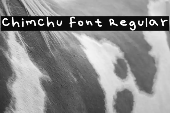 Chimchu Font Regular Polices examples