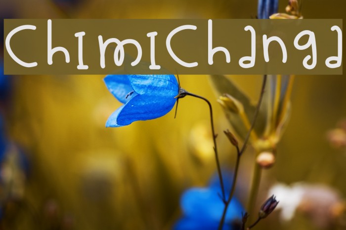 Chimichanga Font examples