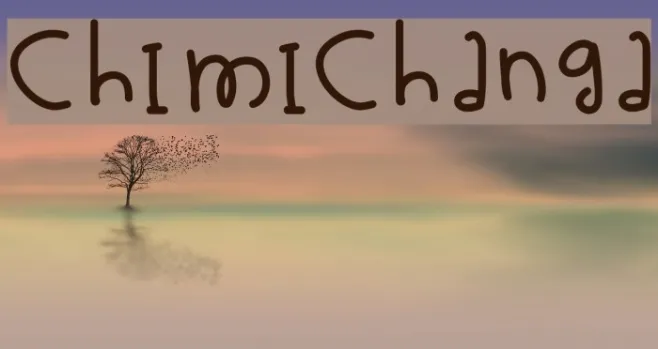 Chimichanga Example 3