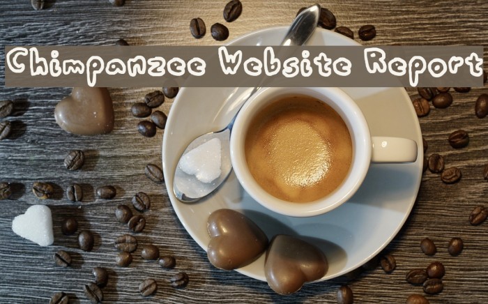 Chimpanzee Website Report Font examples