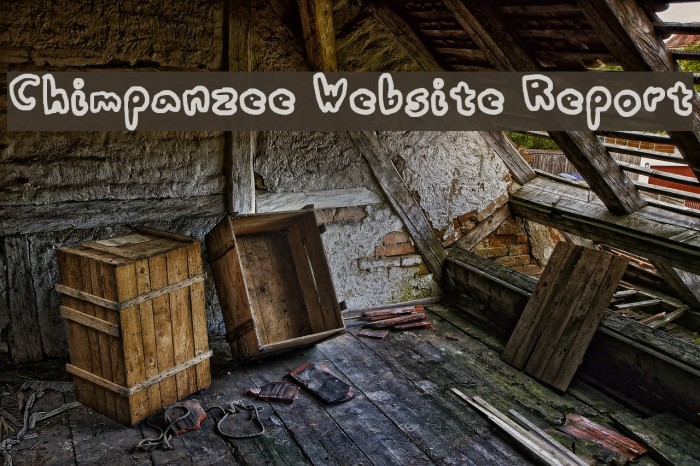 Chimpanzee Website Report Font examples