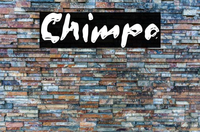 Chimpo Example 2