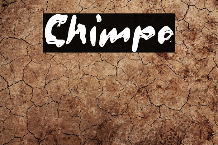 Chimpo Example 3