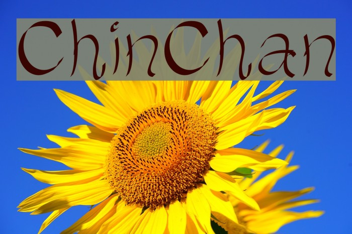 ChinChan Шрифта examples