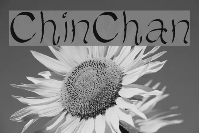 ChinChan Font examples