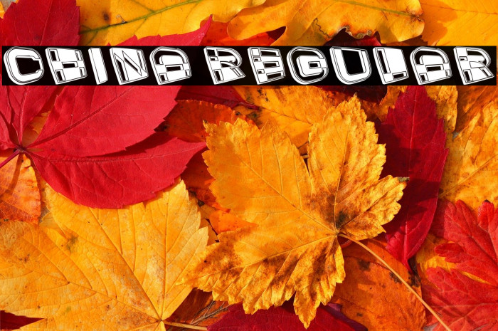 China Regular Example 2