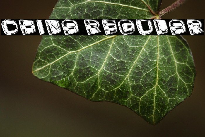 China Regular Example 3