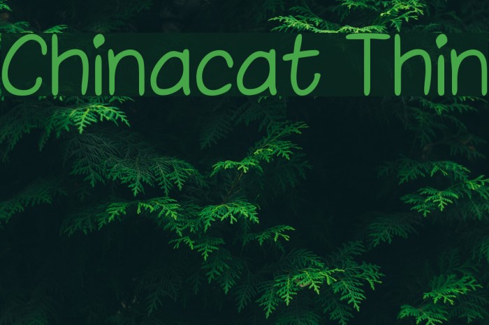 Chinacat Thin Font examples