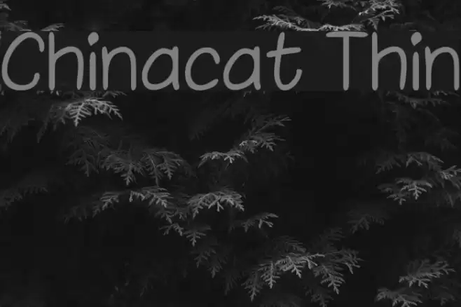 Chinacat Thin Font examples