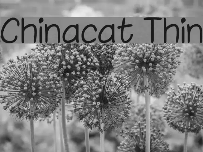 Chinacat Thin Font examples