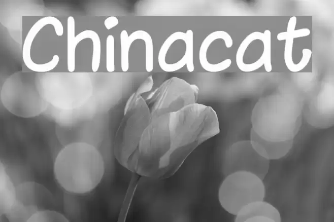 Chinacat Font examples