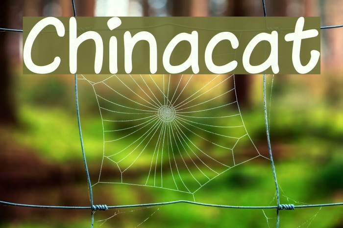 Chinacat Font examples