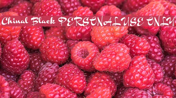 Chinal Black PERSONAL USE ONLY Example 1