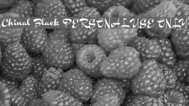 Chinal Black PERSONAL USE ONLY Font examples