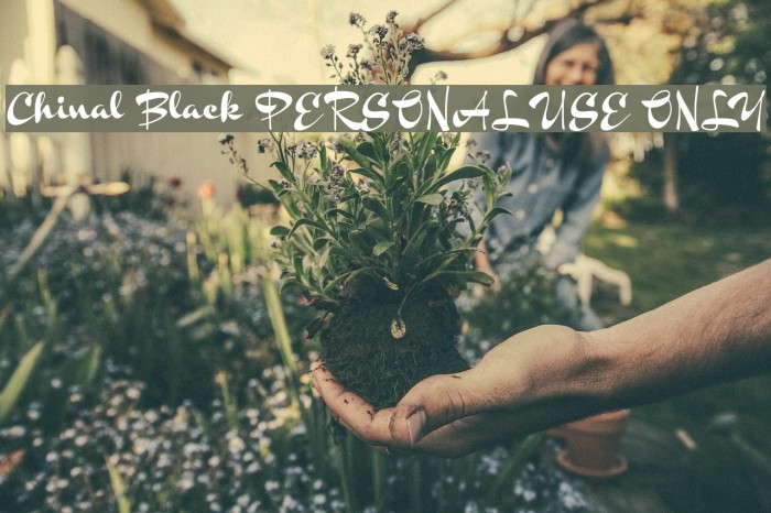 Chinal Black PERSONAL USE ONLY Example 3