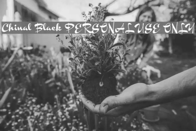 Chinal Black PERSONAL USE ONLY Font examples