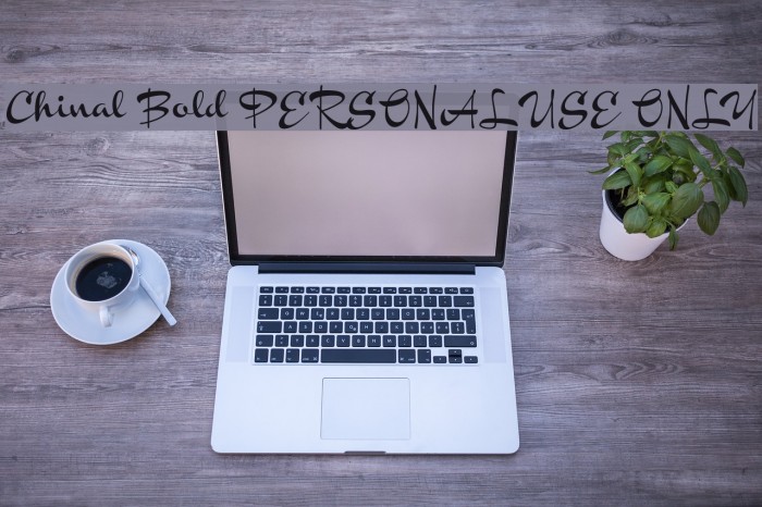 Chinal Bold PERSONAL USE ONLY Font examples