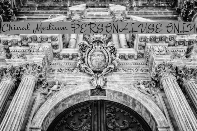 Chinal Medium PERSONAL USE ONLY Font examples