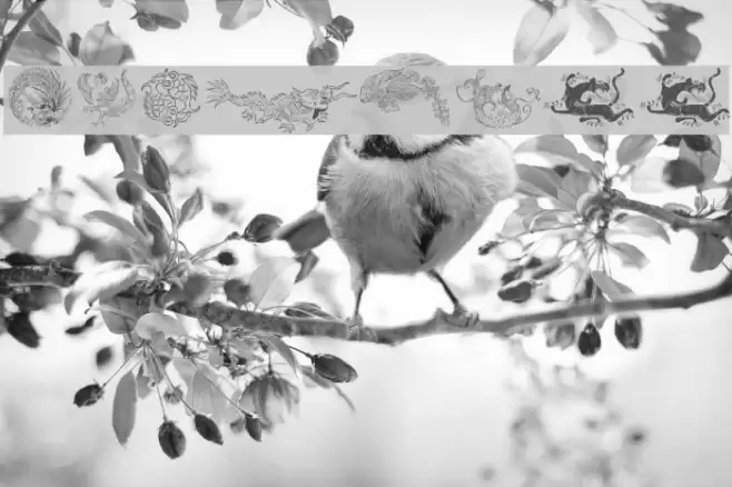 Chinatoo Font examples