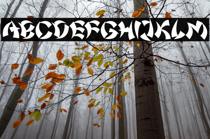 Chinatown Champs Example 3