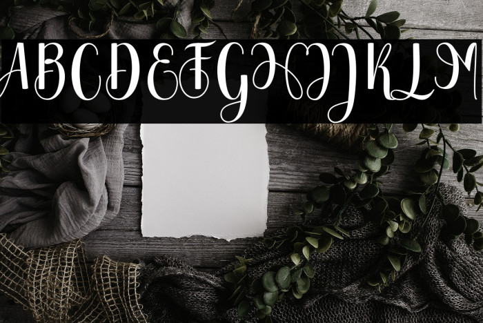 Chinchilla Example 1