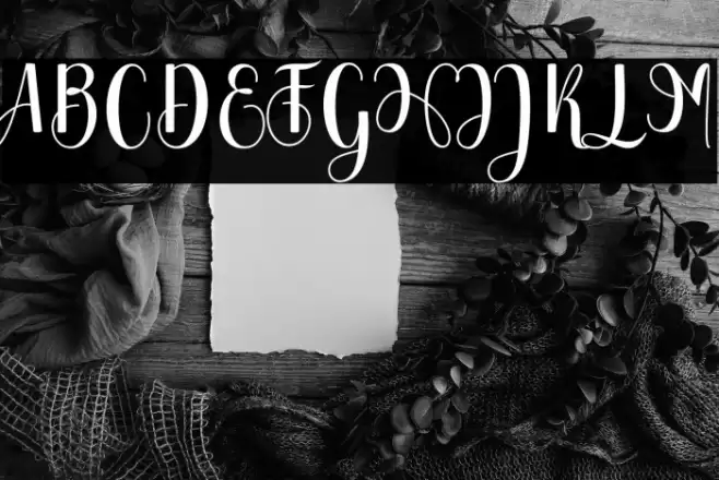 Chinchilla Font examples