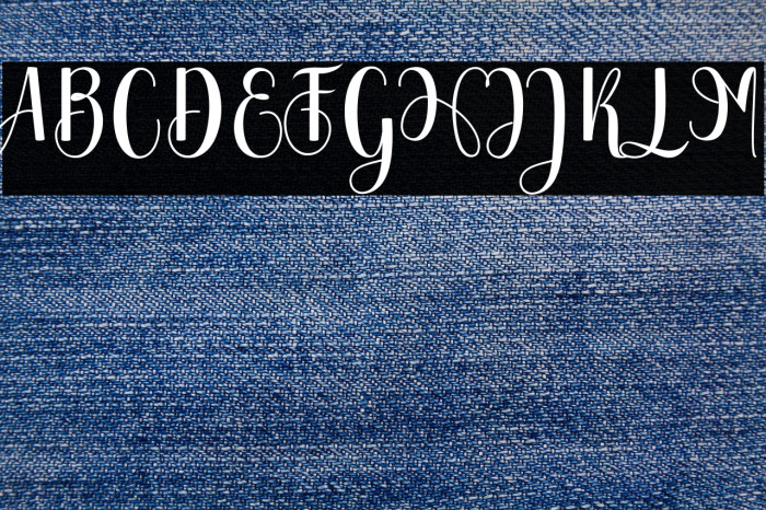 Chinchilla Example 2