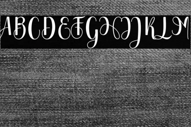 Chinchilla Font examples