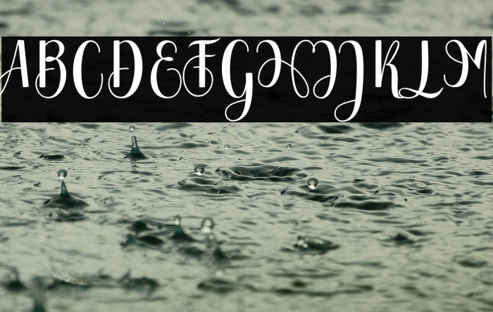 Chinchilla Example 3