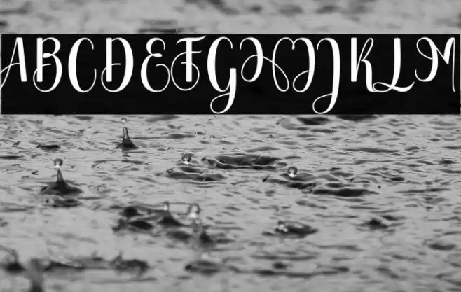 Chinchilla Font examples