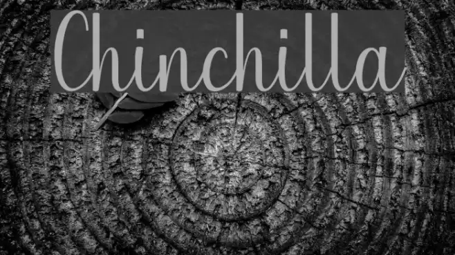 Chinchilla Font examples
