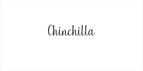 Chinchilla Logo