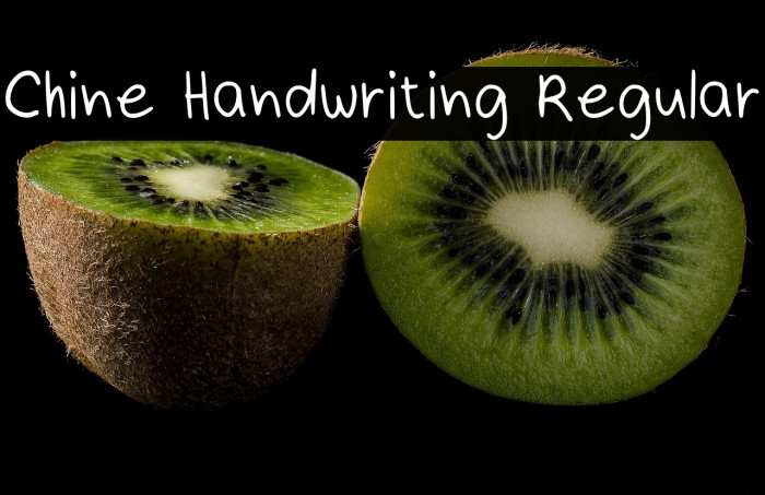 Chine Handwriting Regular Example 1