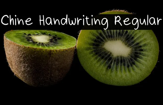 Chine Handwriting Regular Example 1