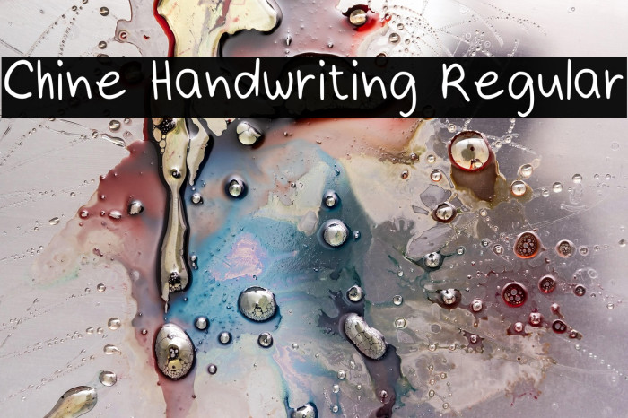 Chine Handwriting Regular Example 2