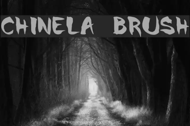 Chinela Brush Font examples