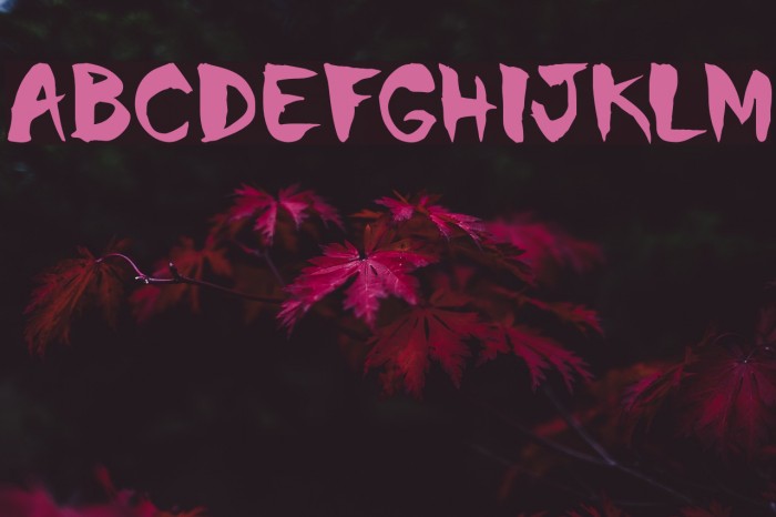 Chinela-Brush Example 1