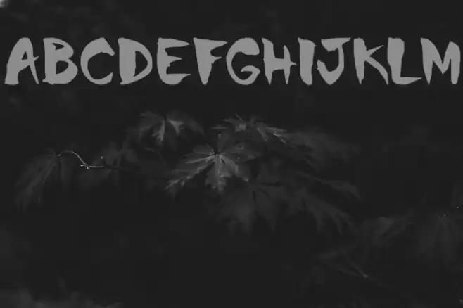 Chinela-Brush Font examples