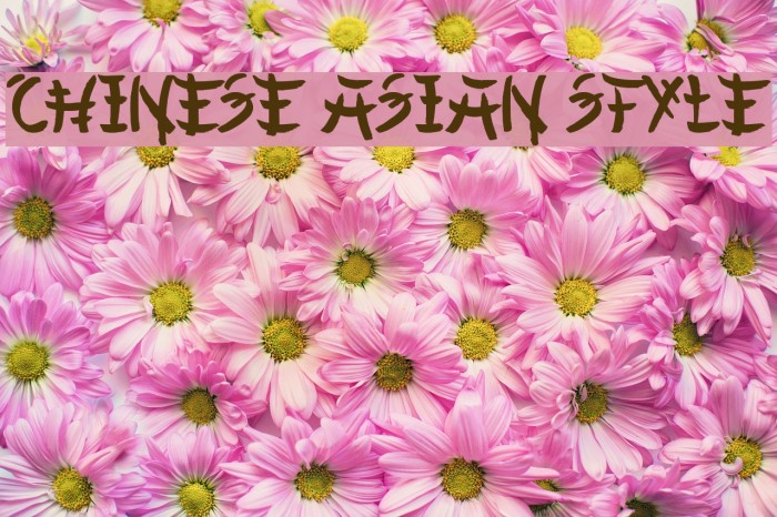 Chinese Asian Style Font examples