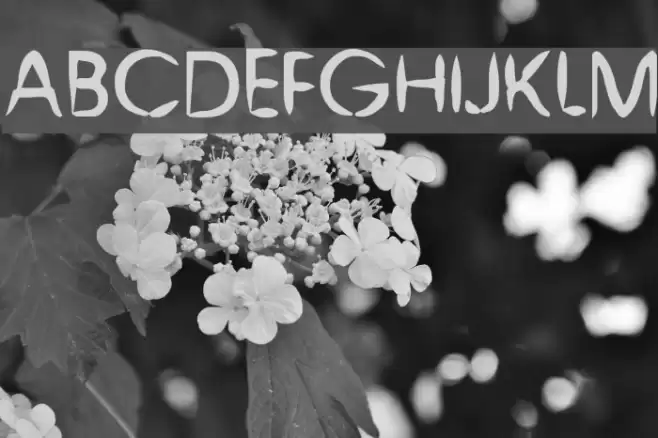 Chinese Brush Font examples