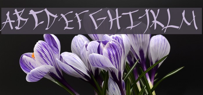 Chinese Calligraphy Font examples