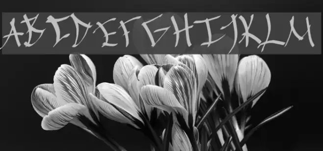 Chinese Calligraphy Fonte examples