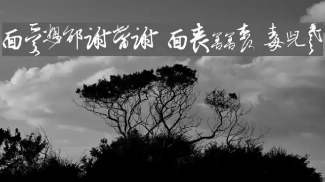 Chinese Cally TFB Font examples