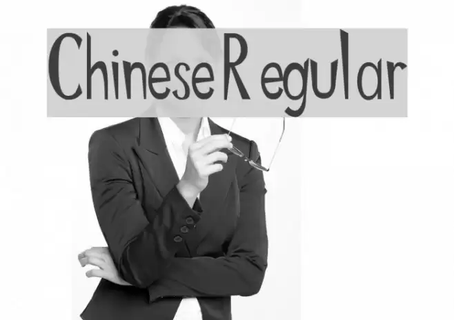 Chinese Regular Font examples