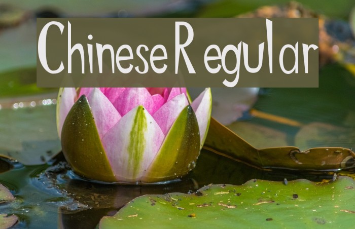 Chinese Regular फ़ॉन्ट examples