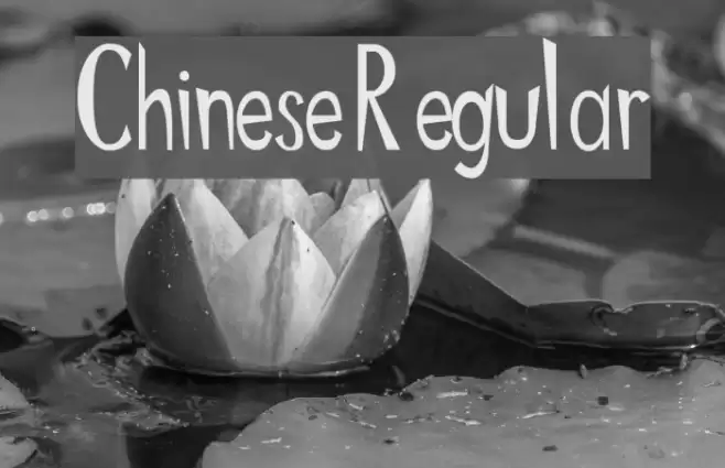 Chinese Regular Font examples