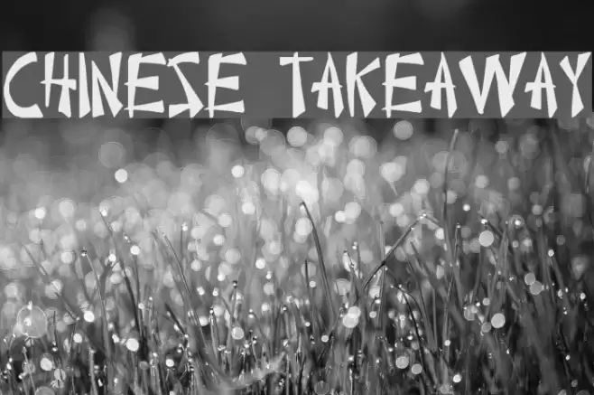 Chinese Takeaway Font examples
